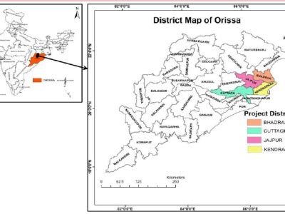opms odisha